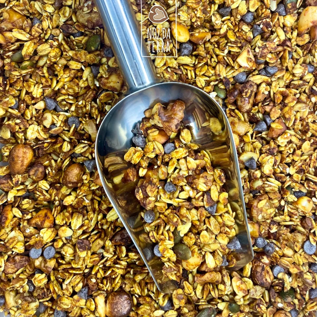 granola de abóbora a granel noz da terra
